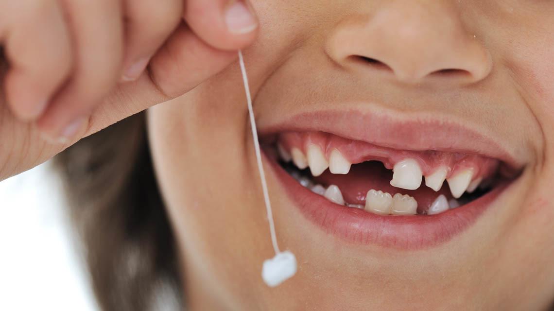 Ein Kind putzt sich beim Zahnwechsel die Zähne.